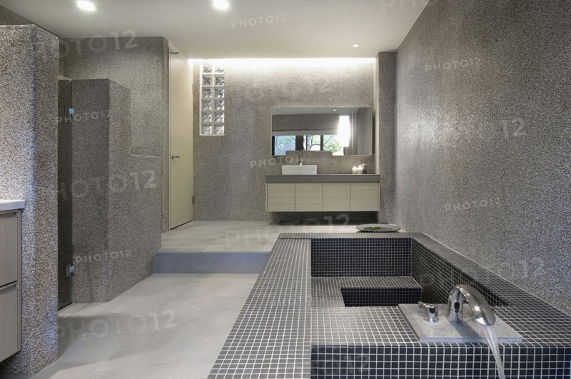 Large modern bathroom with mosaic tile bathtub