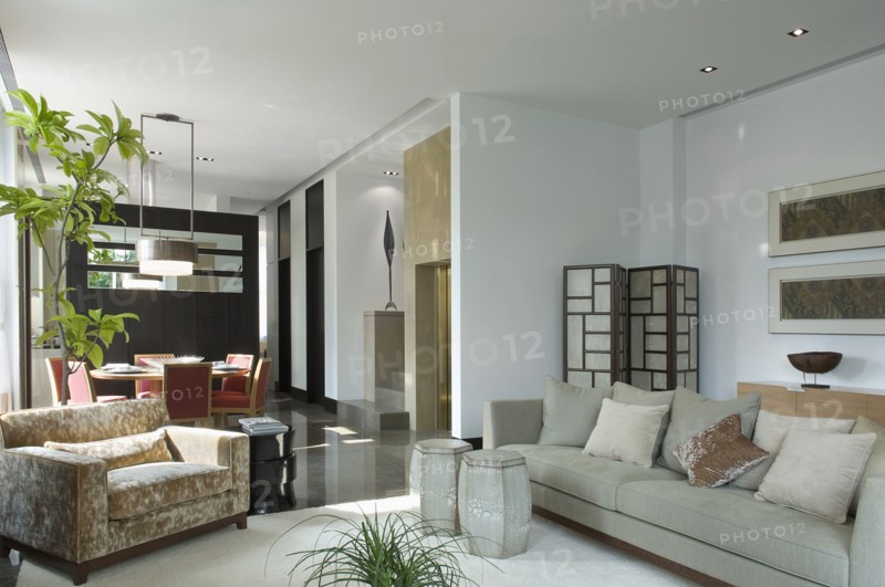 Sofa with several throw pillows