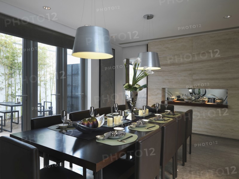 Elegant dining room table with place settings