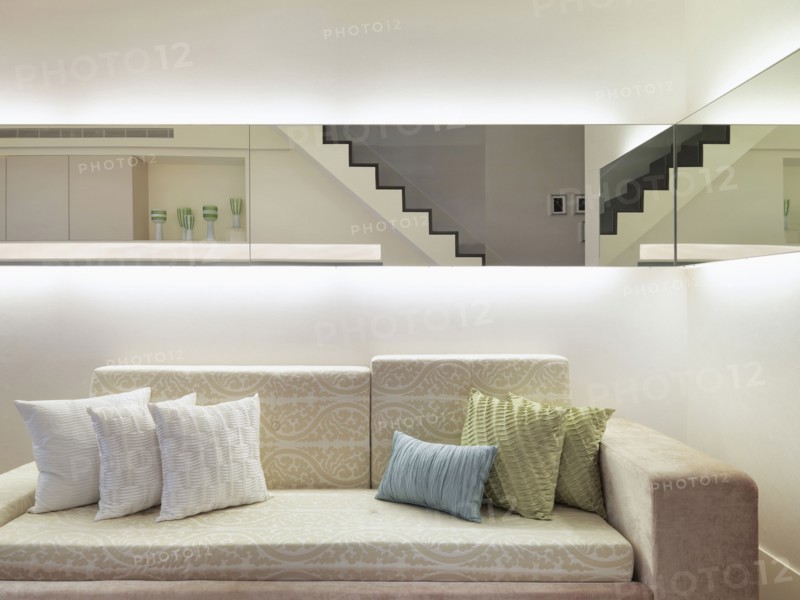 Throw pillows on patterned sofa