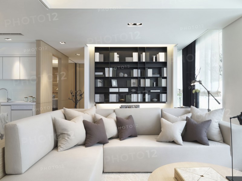 Sectional sofa with throw pillows in modern living room