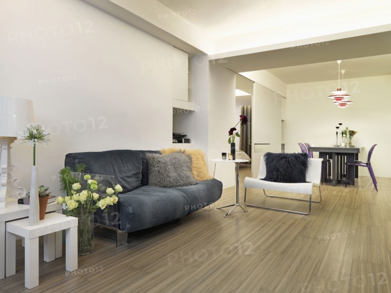 Modern living room and dining room with hardwood floors
