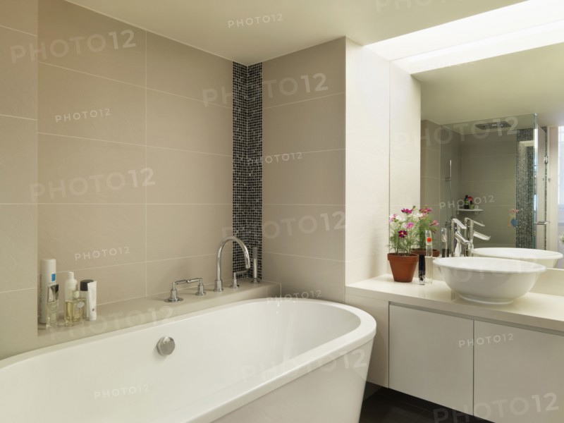Light colored modern bathroom with large bathtub