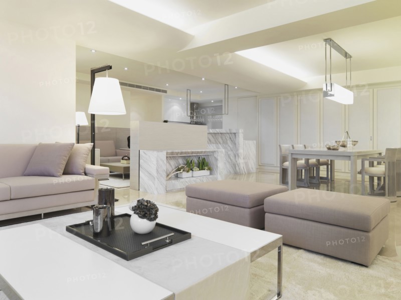 Modern monochromatic living room and dining room
