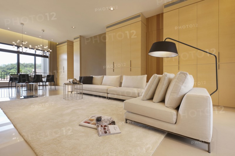 Large floor lamp over sofa in modern home
