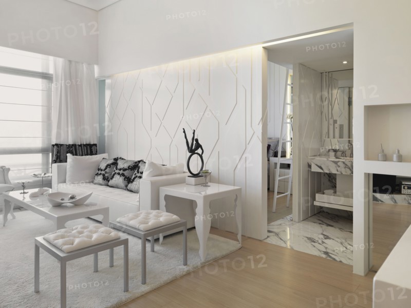 Monochromatic modern living room