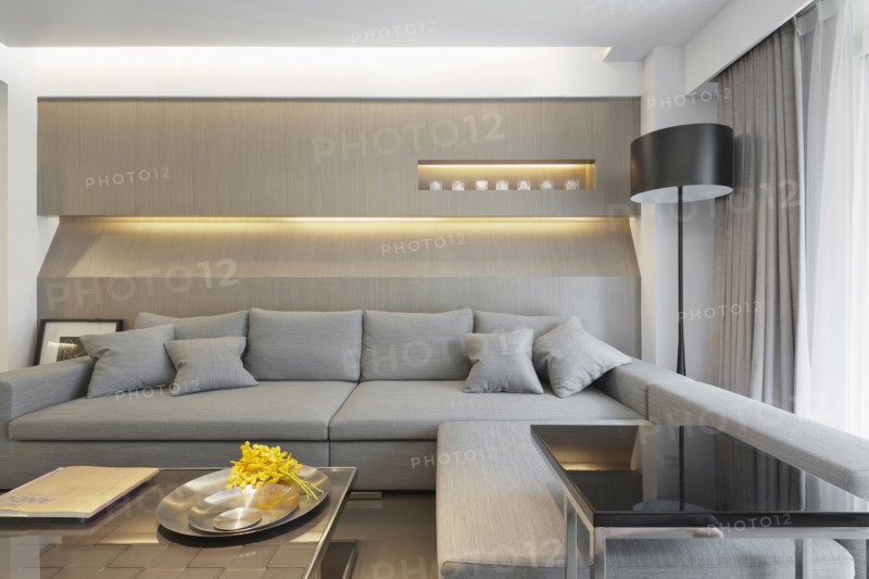 Gray sectional sofa in modern home