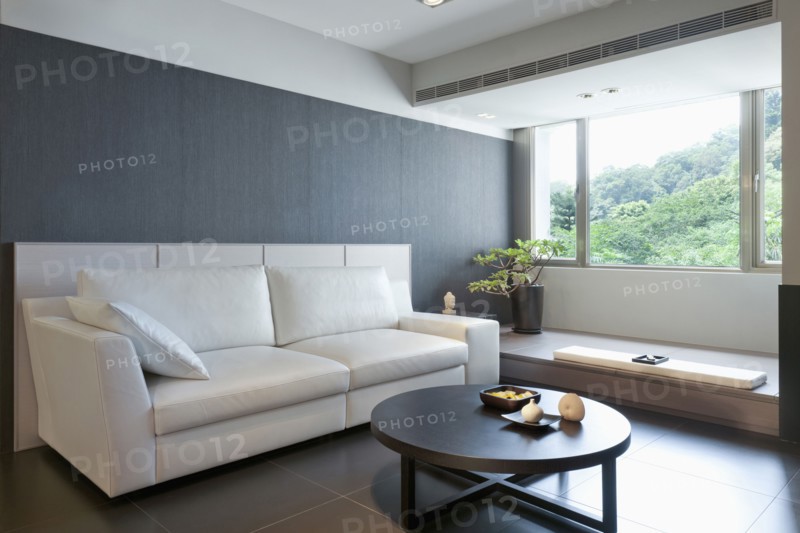 White sofa in modern living room
