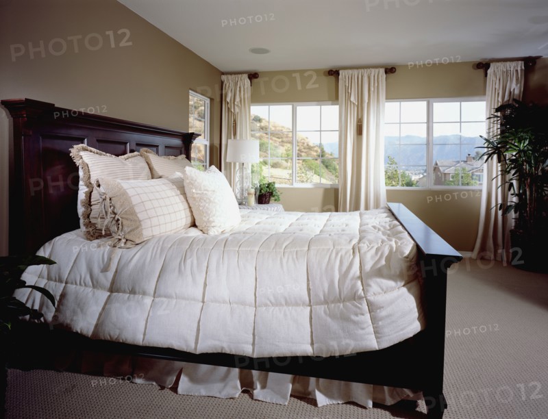 Master bedroom with large bed