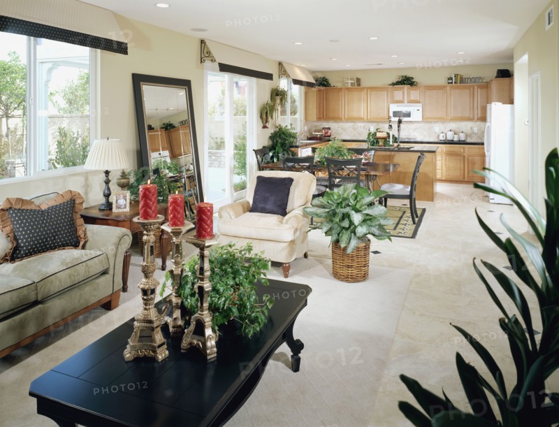 Traditional Living Room and Kitchen