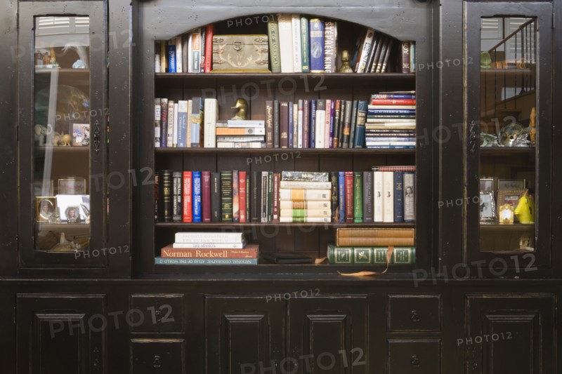 Dark Wood Bookshelf