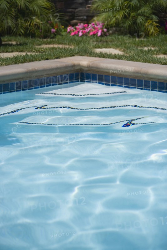 Swimming Pool Detail