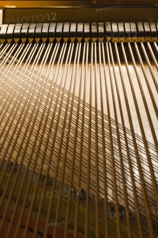 Interior of Piano