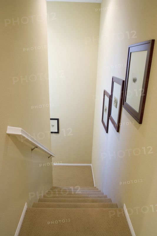 Photographs in Stairwell