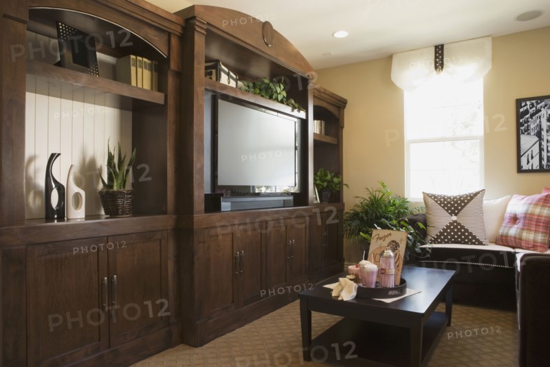 Living Room with Large Entertainment Center