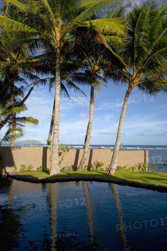 Backyard Swimming Pool Next to Ocean