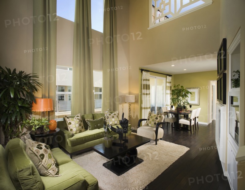 Large Contemporary Living Room with Tall Ceilings
