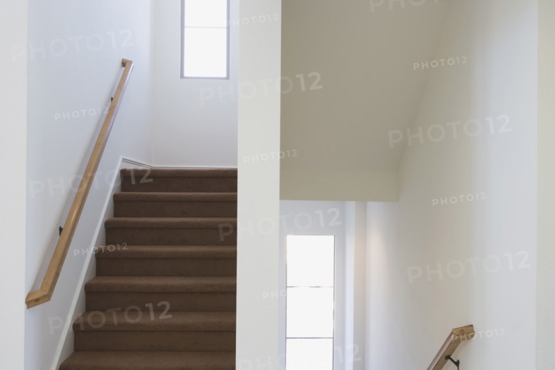 Contemporary Stairwell with Brown Carpet