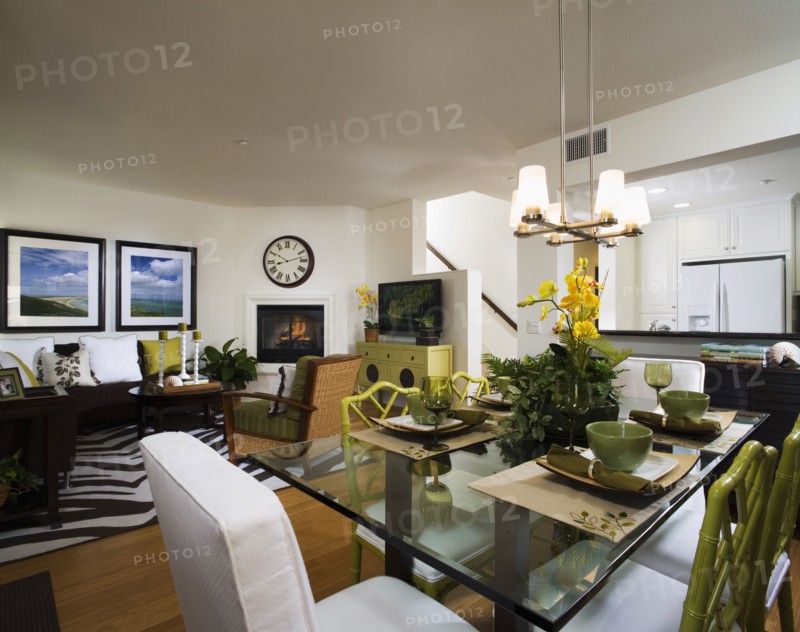 Dining Room and Living Room with Jungle Theme