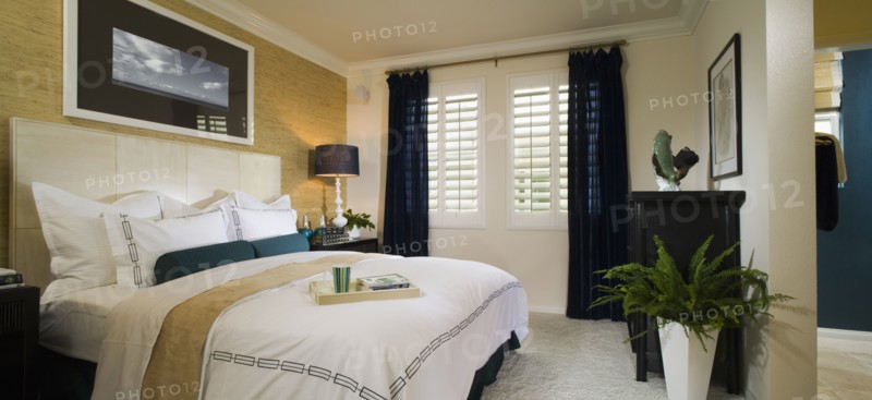 Serene Bedroom with Blue Accents