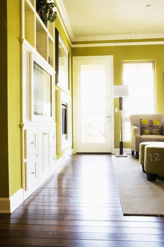 Contemporary Living Room with Green Walls