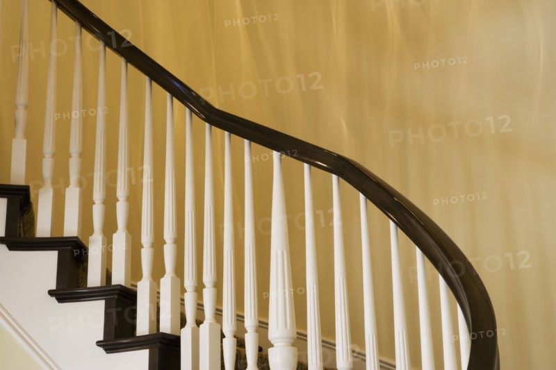 Contemporary Stairway with White Railings and Dark Wood Bannister