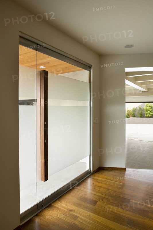 Modern Frosted Glass Door