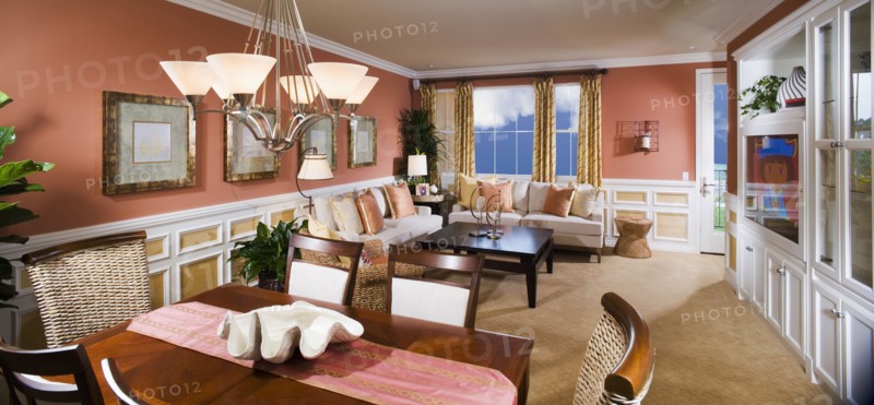 Interior of contemporary dining room and living room
