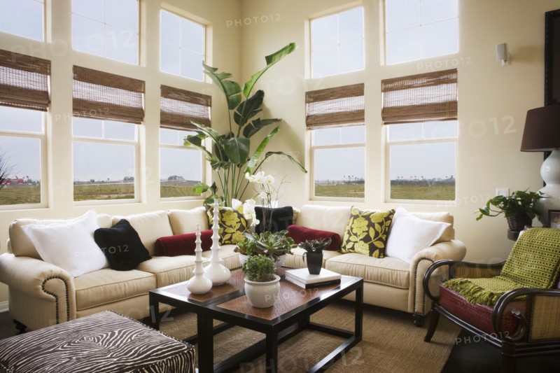 Interior of a contemporary living room
