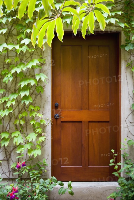 Detail of wood door next to ivy covered wall.