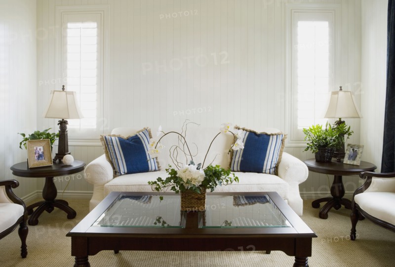 Symmetrical living room with wood paneling on walls