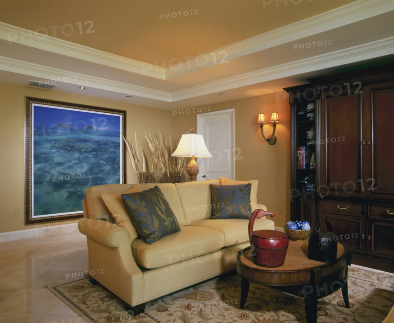 Contemporary living room