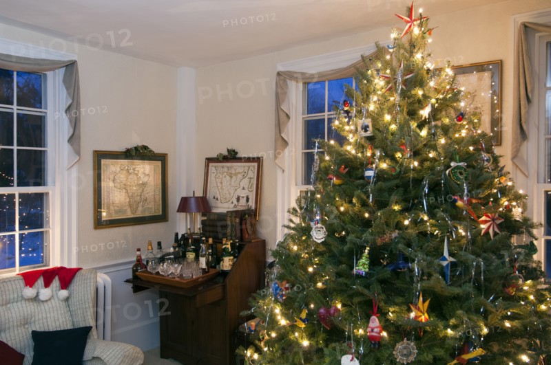 Illuminated Christmas tree in domestic room