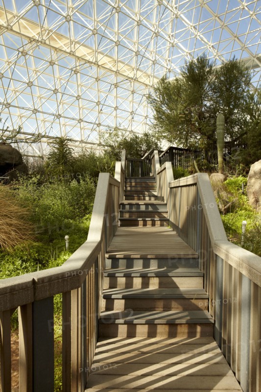 Walkway and plants in greenhouse