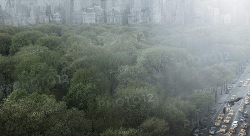 Urban park