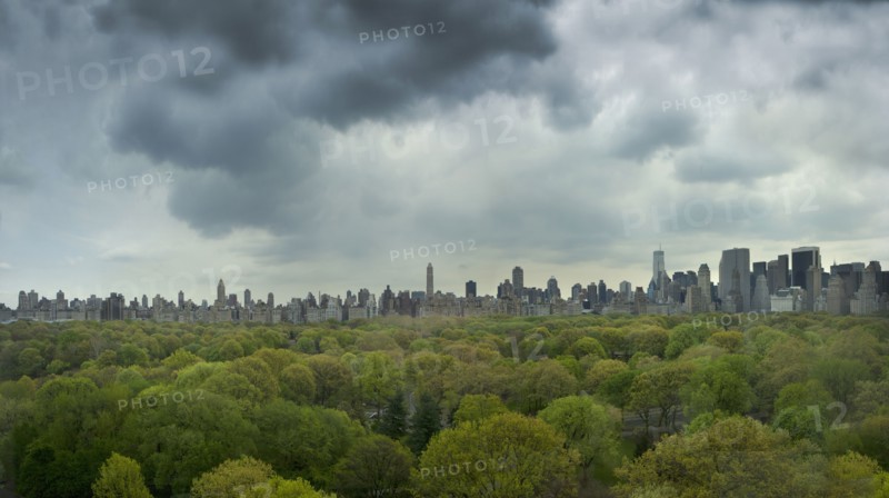 Urban park and city skyline