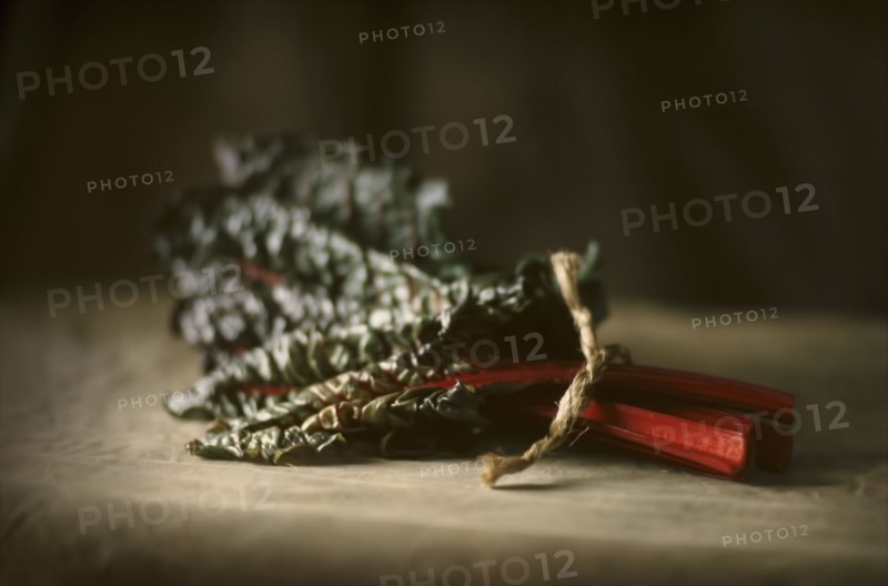 Close up of vegetable leaf