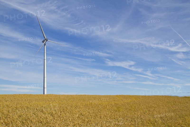 Wind turbine in rural landscape