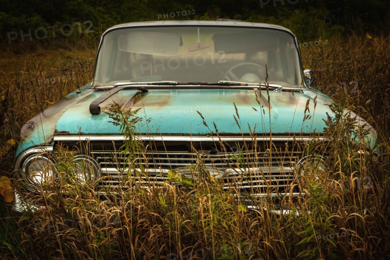 Vintage car parked in tall grass