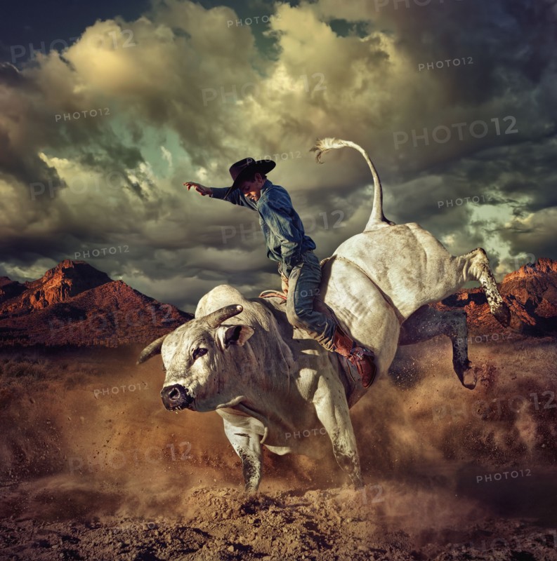 Caucasian cowboy riding bucking bull in desert