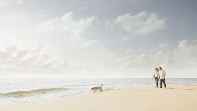 Caucasian couple walking dog on beach