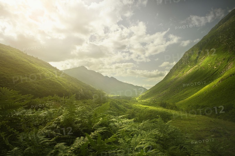 Rolling green hills in remote landscape