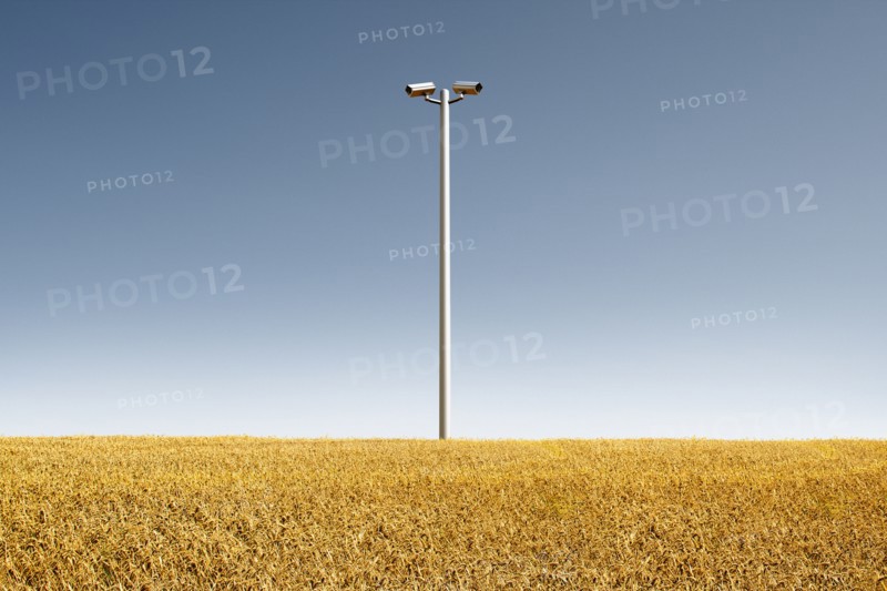 Low angle view of security cameras in crop field