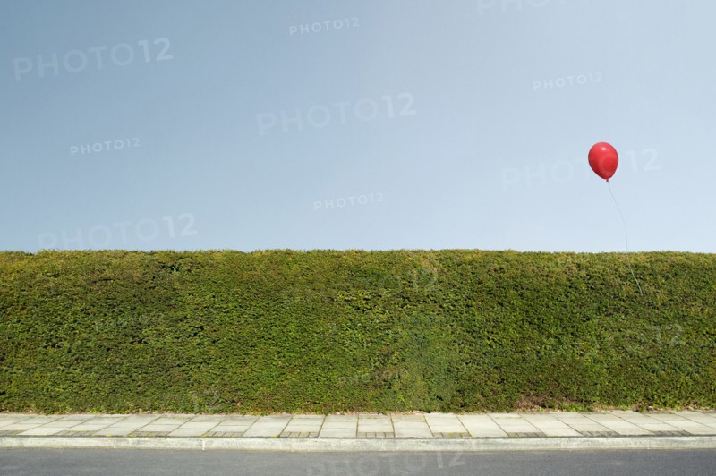 Red balloon floating over neatly trimmed hedges