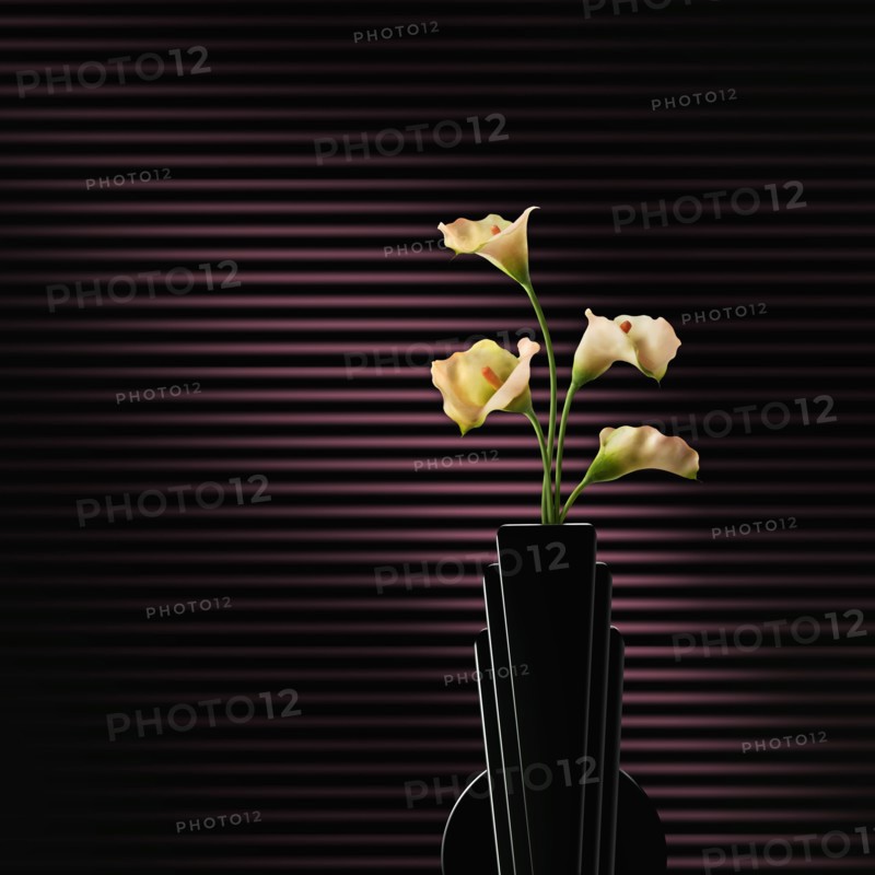 Flowers blooming in modern vase