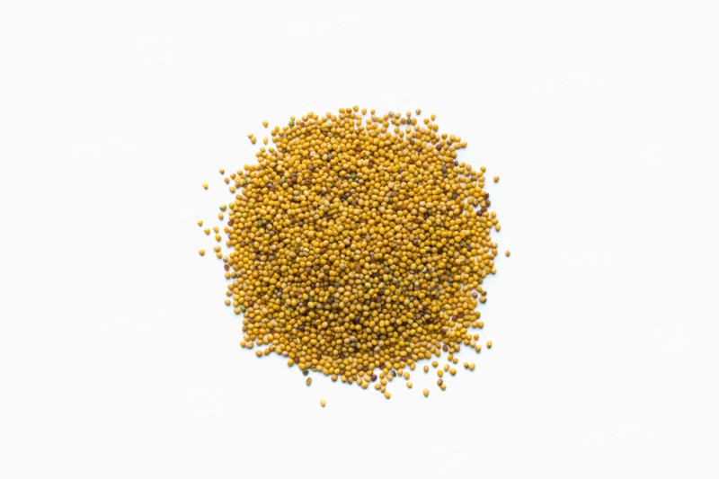 Pile of mustard seeds in shape of a circle