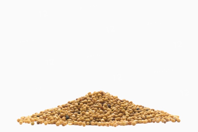 Pile of brown seeds