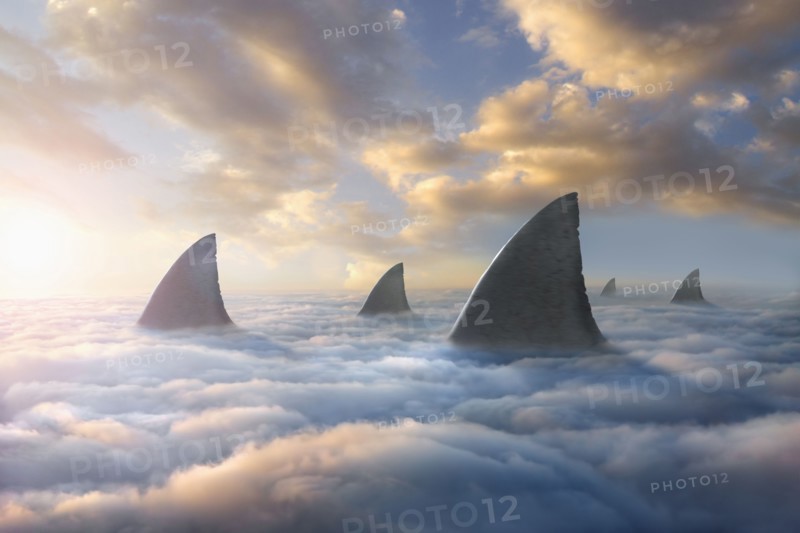 Shark fins above clouds