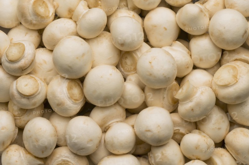 Pile of white mushrooms