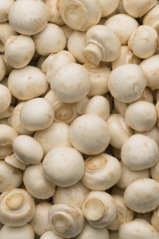 Pile of white mushrooms